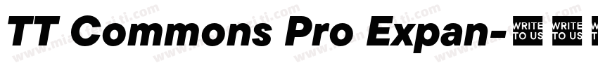 TT Commons Pro Expan字体转换